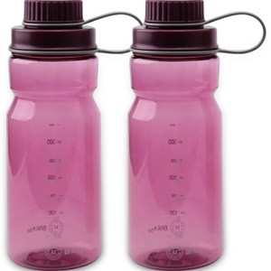 마운틴 물병 2p, 600ml, 퍼플