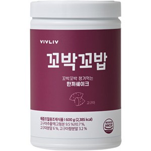 비브리브 꼬박꼬밥 챙겨먹는 한끼쉐이크 고구마, 1개, 600g, 1개