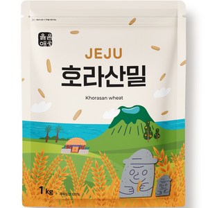 옳음애 제주 호라산 밀, 1kg, 1개