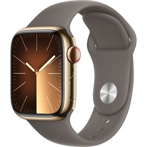 Apple 애플워치 9 GPS+Cellula, 41mm, 스테인리스, 골드 / 클레이 스포츠 밴드, M/L