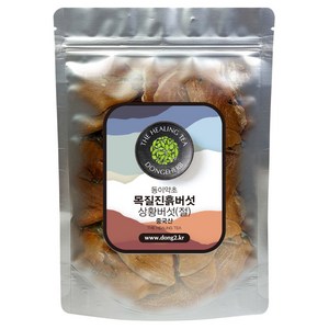 동이약초 상황버섯 절, 150g, 1개