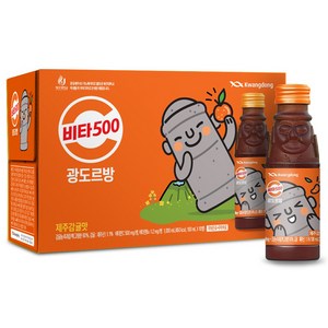 비타500 광도르방 비타민음료, 100ml, 10개