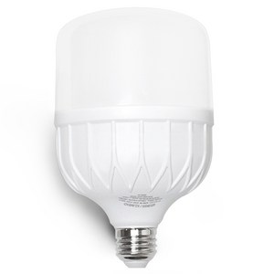 번개표 원하 LED 고와트 전구 화이트 30W, 주광색, 1개