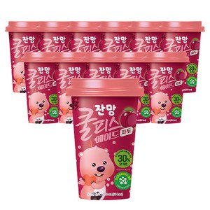 소와나무 쿨피스 에이드 자두맛, 300ml, 12개