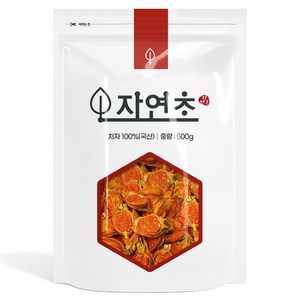 자연초 국내산 건조 치자열매, 500g, 1개