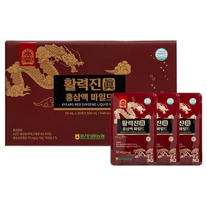 황풍정 풍기인삼농협 직영 활력진 홍삼액 마일드 30p, 1개, 1.5L