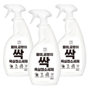 생활공식 물때 곰팡이 싹 욕실청소세제, 3개, 600ml