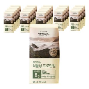 일일하우 더 맛있는 식물성 프로틴밀, 24개, 125ml