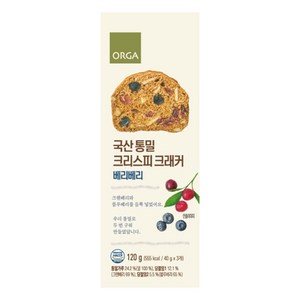 ORGA 통밀 크리스피 크래커 베리베리, 120g, 1개