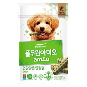 풀무원아미오 강아지 건강담은 간식 덴탈껌 그린, 100g, 1개