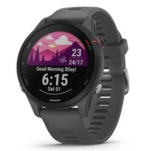 가민 포러너 255 러닝 스마트워치, 슬레이트그레이, 46mm, GPS