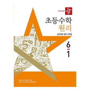 디딤돌 초등 수학 원리 (2024년), 수학(원리), 초등 6-1