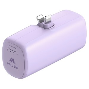 밸류엠 단자 접이식 도킹형 손난로 겸용 보조배터리 5000mAh 8핀, VM-B2DHWD018P, 퍼플