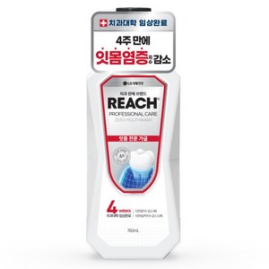 리치 프로페셔널 잇몸 전문 제로 구강청결제, 760ml, 1개