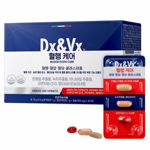 디엑스앤브이엑스 혈행케어 30회분, 75g, 1개