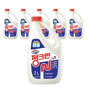 유한락스 펑크린 배수구세정제, 2L, 6개