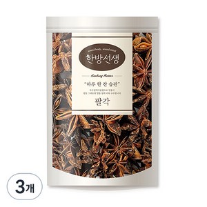 한방선생 팔각, 100g, 3개