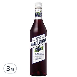 마리브리자드 블랙커런트 시럽, 700ml, 3개