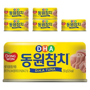 동원 DHA 참치, 250g, 6개