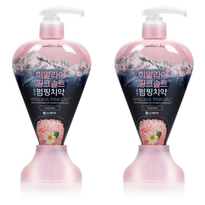 히말라야핑크솔트 담은 펌핑치약 플로럴, 285g, 2개