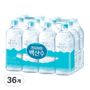 백산수 생수 무라벨, 1L, 36개