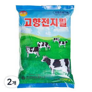 고향 차, 1kg, 2개