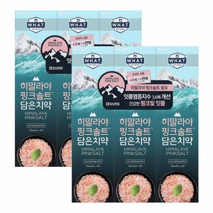 LG생활건강 히말라야 핑크솔트 담은 치약, 100g, 6개