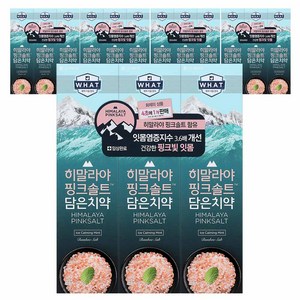 히말라야핑크솔트 담은 치약 아이스 카밍 민트, 100g, 15개