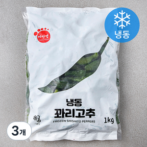 마당발 중국산 꽈리고추 (냉동), 1kg, 3개