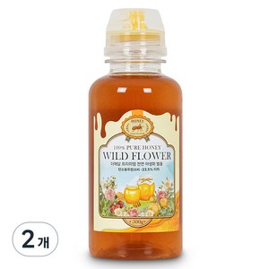 더해담 프리미엄 천연 야생화 벌꿀, 500g, 2개