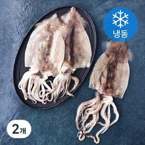 곰곰 손질 오징어, 400g, 2개