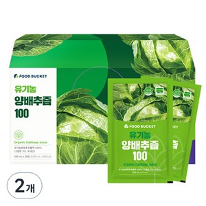 푸드버킷 국내산 유기농 양배추즙 100, 3L, 2개