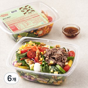 슬림쿡 불고기 샐러드, 255g, 6개