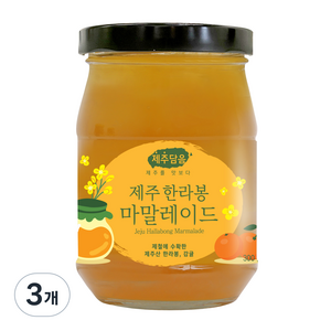 오뚜기 제주담음 한라봉 마말레이드 잼, 300g, 3개