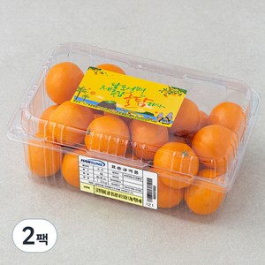 귤탐 당도선별 12bix 감귤, 1.2kg(2S~M), 2팩