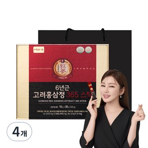 정원삼 6년근 고려홍삼정 365 스틱 선물세트 + 쇼핑백, 300g, 4개