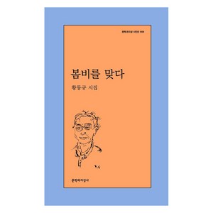 봄비를 맞다:황동규 시집, 황동규 저, 문학과지성사