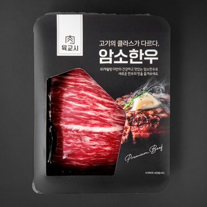 본고기 암소한우 1등급 양지국거리용 (냉장), 300g, 1팩