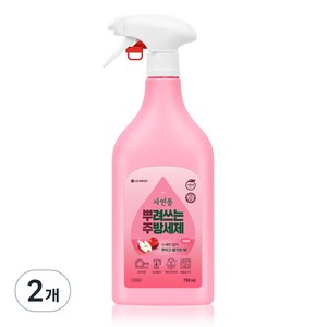 자연퐁 뿌려쓰는 주방세제 용기형 애플향, 750ml, 2개