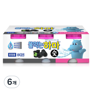 물먹는하마 숯 제습제 본품, 280g, 6개