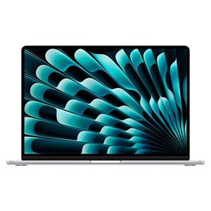 Apple 2024 맥북 에어 15 M3, 실버, 1TB, 16GB, 한글