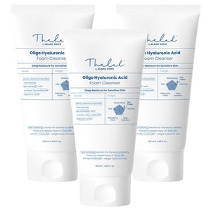 더랩바이블랑두 올리고 히알루론산 폼 클렌저, 120ml, 3개