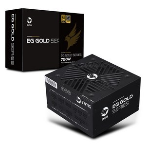 엔티스 EG 골드 750W 풀모듈러 파워서플라이 80PLUS ATX3.1, ATX3.1(블랙)