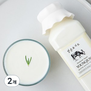 영준목장 수제 요거트 플레인, 500ml, 2개