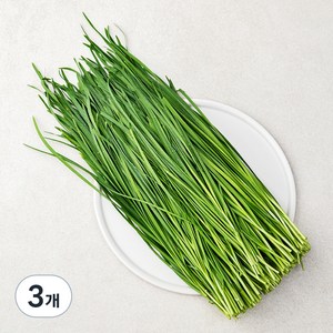 국내산 부추, 500g, 3개