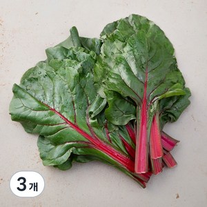 국내산 적근대, 300g, 3개