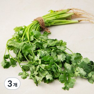 국내산 고수, 100g, 3개