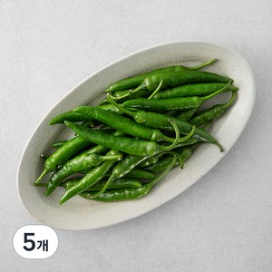 국내산 청양고추, 300g, 5개