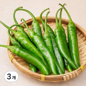 국내산 친환경 청양고추, 100g, 3개