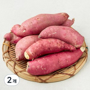 못생겨도 맛있는 꿀고구마, 1.5kg, 2개